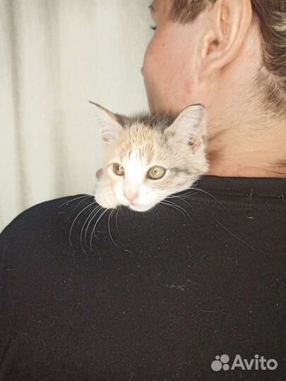 Сладкая Зайка ждёт свою маму и папу