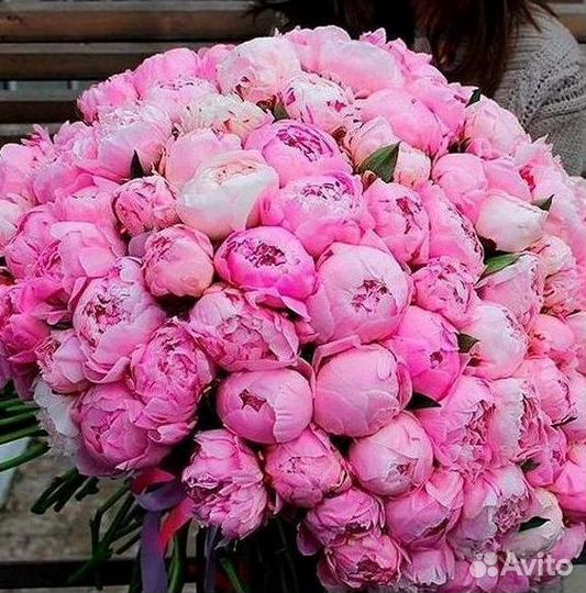 Пионы Букеты Цветы Доставка