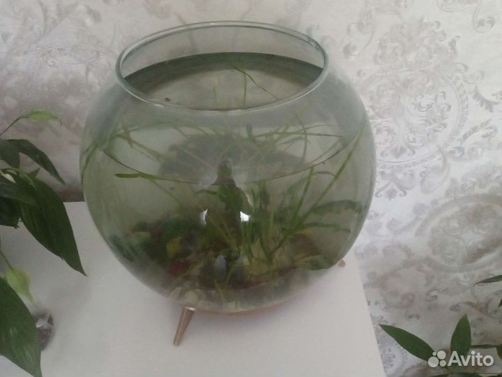 Продам аквариум 2000