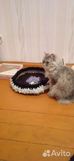 Лежанка для животных