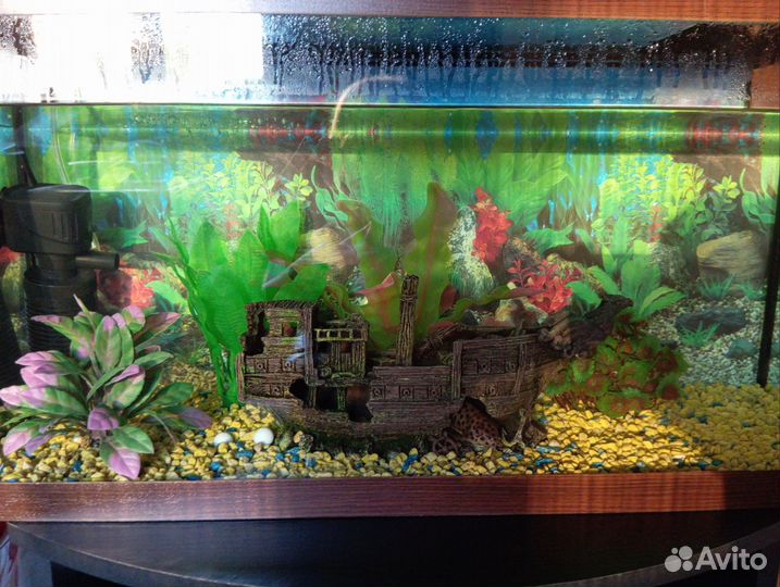 Аквариум