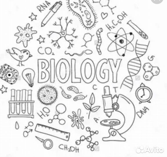 Конспекты для егэ по биологии