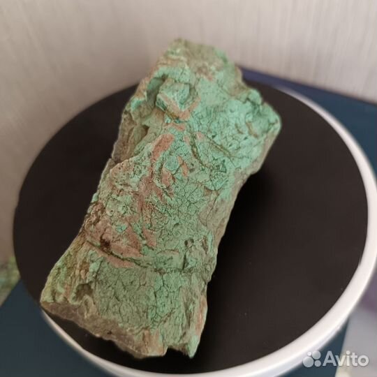 Окаменелое дерево с малахитом.97.2