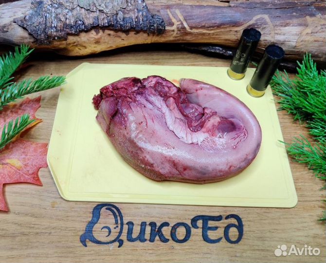 Язык лося
