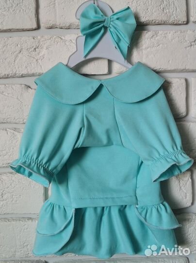 Одежда для собак