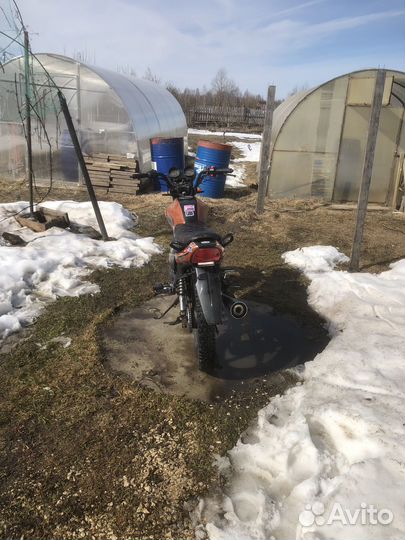 Racer rs150-23 Tiger