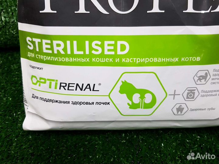 Корм для кошек