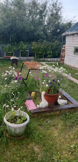 Дача 50 м² на участке 4 сот.