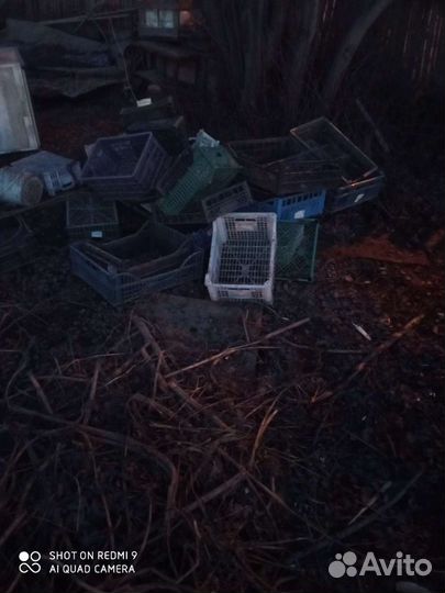 Пластиковые ящики бу от фруктов