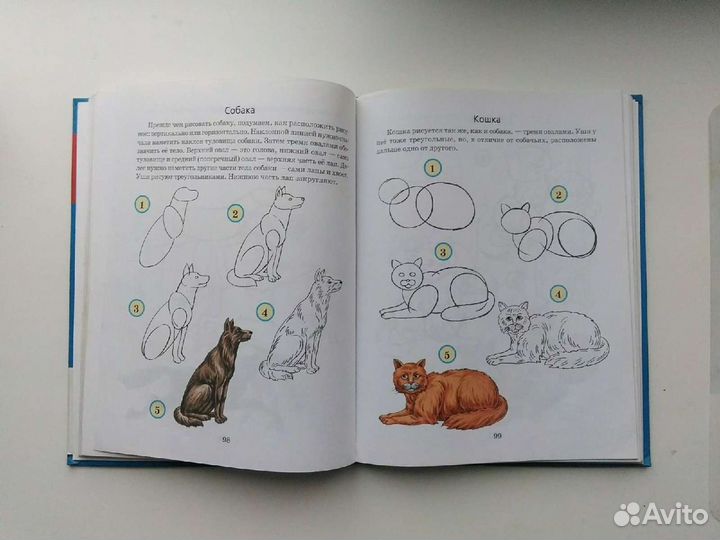 Рисование-Первые шаги