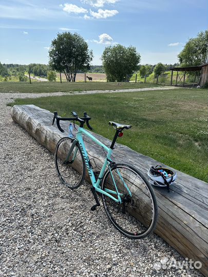 Велосипед specialized allez sport (56) шоссейный