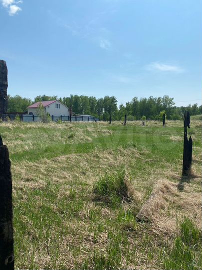 Участок 12 сот. (СНТ, ДНП)