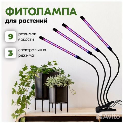 Фитолампа для растений полного цикла с таймером купить в Санкт ...