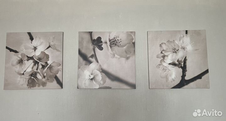 Постеры на подрамнике Икеа Пьетеррид 3 шт 57*57 см