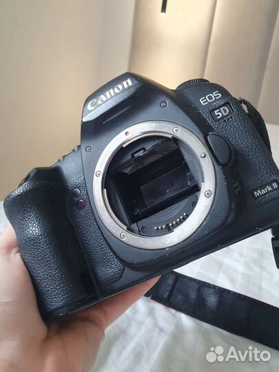 Зеркальный фотоаппарат Canon EOS 5D Mark II Body