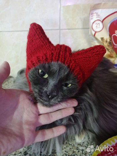 Шапки для собак и кошек. Одежда