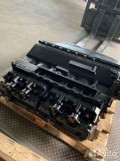 Двигатель Д260 кап.рем