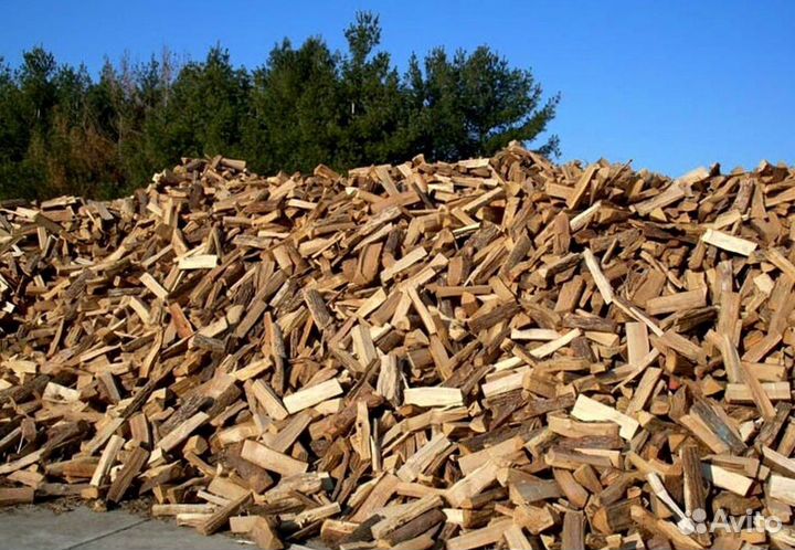 Дрова в область