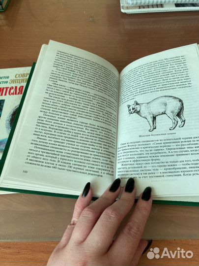 Книги про кошек