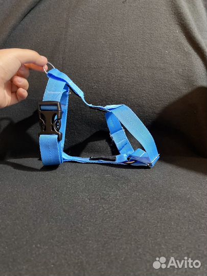 Ошейники и шлейки для собак