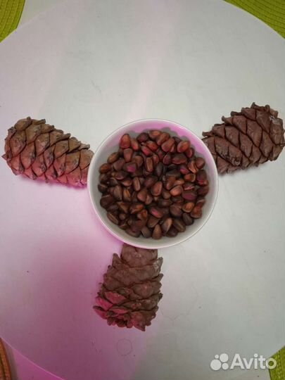 Кедровые шишки с орехами