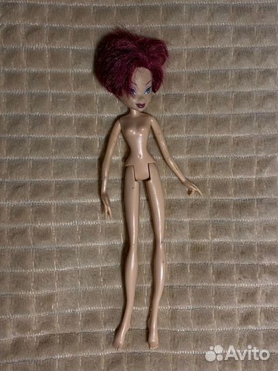 Куклы barbie ken winx ever after high с одеждой