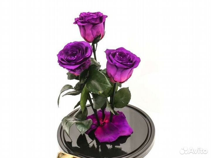 Цветы оптом