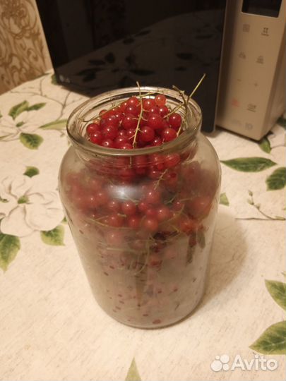 Красная смородина. 2 л. Центр