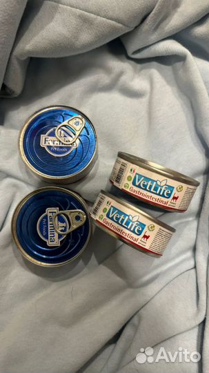 Влажный корм для кошек