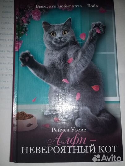 Новые книги про кошек