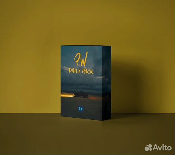 Пресеты Lightroom Polina Washington 