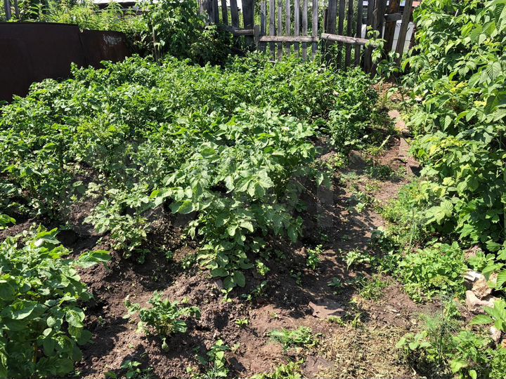 Участок 3,95 га (СНТ, ДНП)