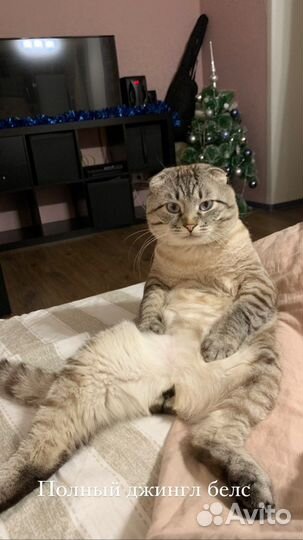 Вязка