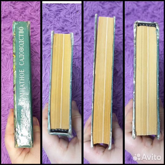 Комнатное садоводство Гесдерфер