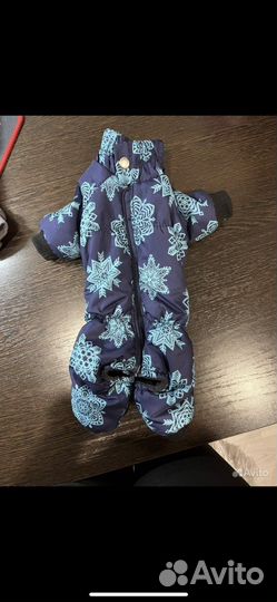 Одежда для маленьких собак