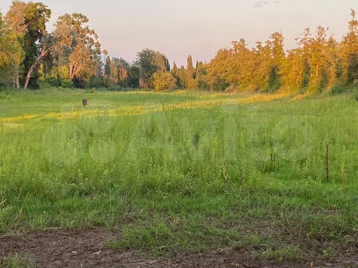 Участок 15 сот. (ИЖС)