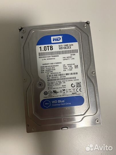 Жесткий диск 1 тб wd blue
