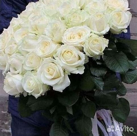 Высокие розы Гигантские розы Доставка цветов