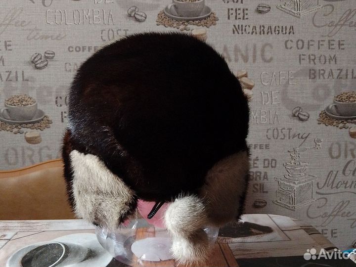 Шапка норковая мужская и женская