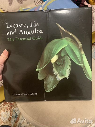 Книга The essential guide