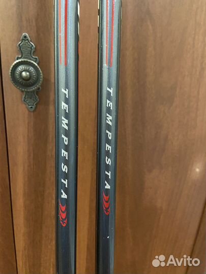 Лыжные палки