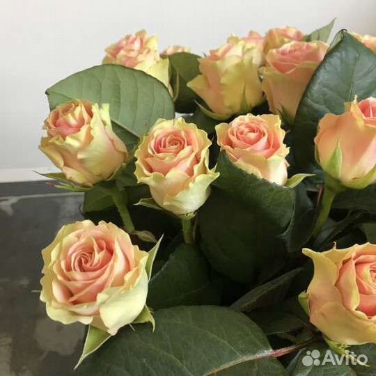 Розовые розы, букет из роз