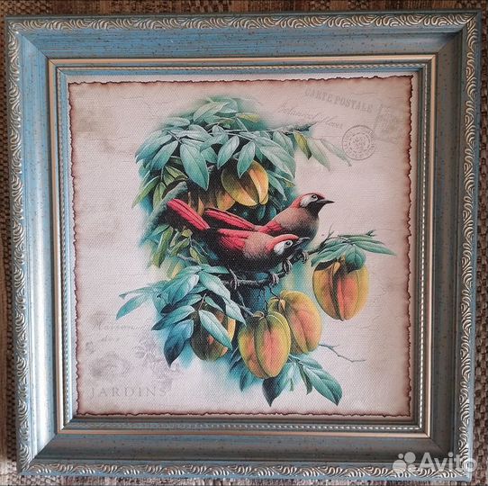 Картина Райские птицы