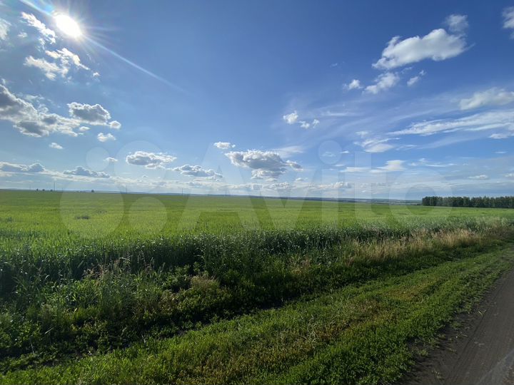 Участок 30 га (ИЖС)