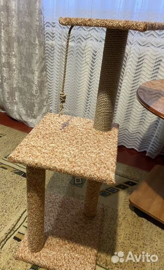 Когтеточка