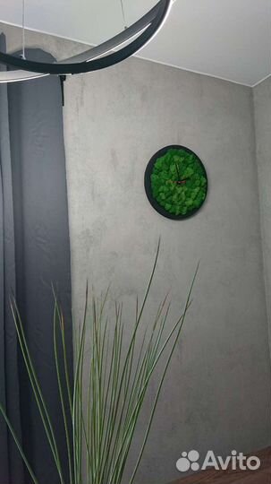 Часы из мха