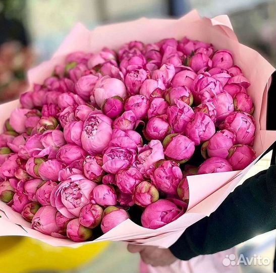 Пионы Букет пионов