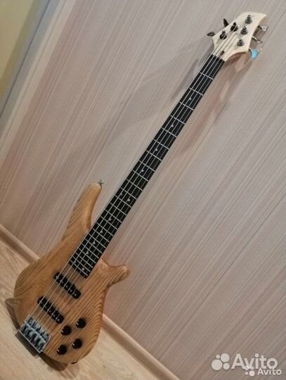 5 струнная бас гитара