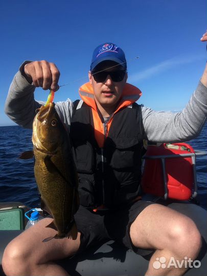 Морская рыбалка.Белое море. Треска, зубатка