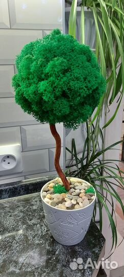 Топиарий из мха